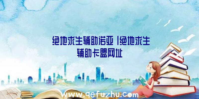 「绝地求生辅助诺亚」|绝地求生辅助卡盟网址